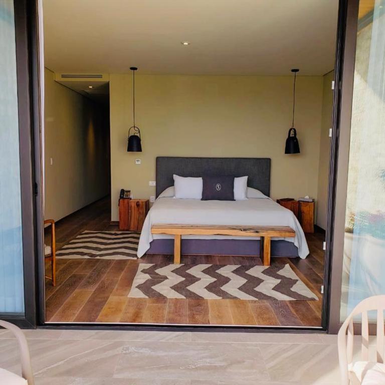 Viñedos San Francisco - Suite Deluxe con bañera de hidromasaje - 4
