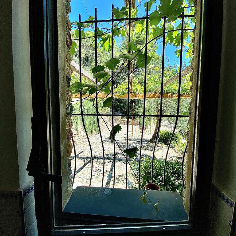 Casa vacanze A lea l'ua - Casa Vacanze - 12