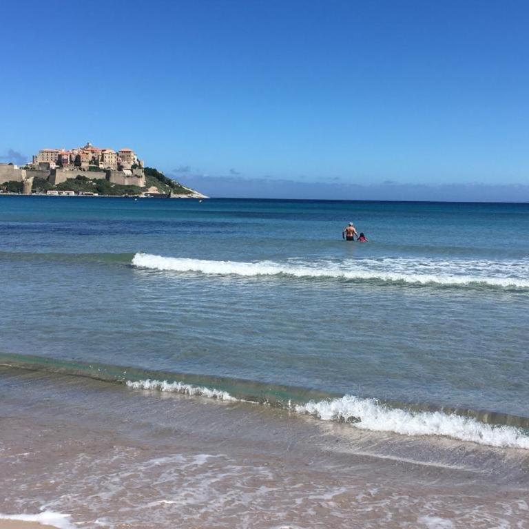 T2 neuf bord de plage - terrasse - CALVI - One-Bedroom Apartment - 12