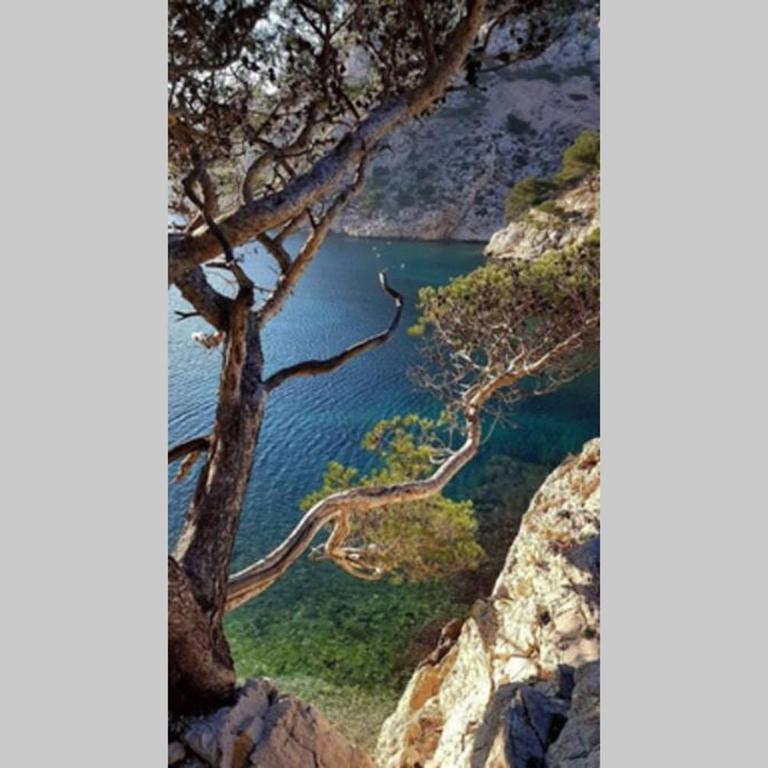Suite sur la mer Marseille Corniche - Appartement 1 Chambre - 33