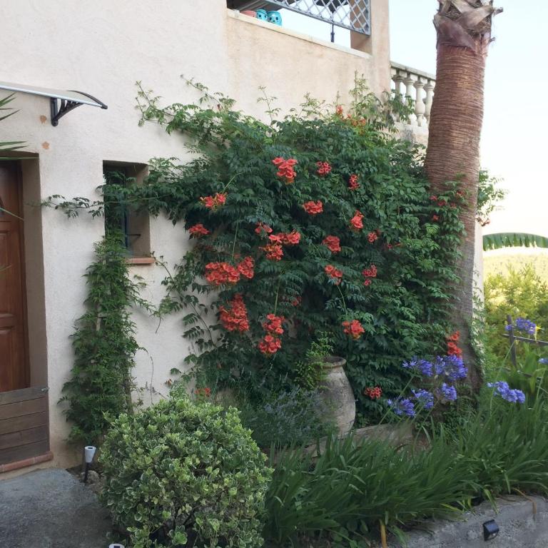 Charmant rez de villa en provence - Maison 2 Chambres - 31