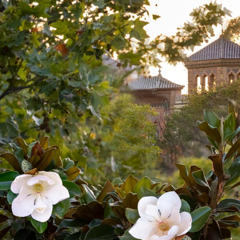 Villa Alfonso, Restored Palace House with gardens and Monuments Views - Villa - 67