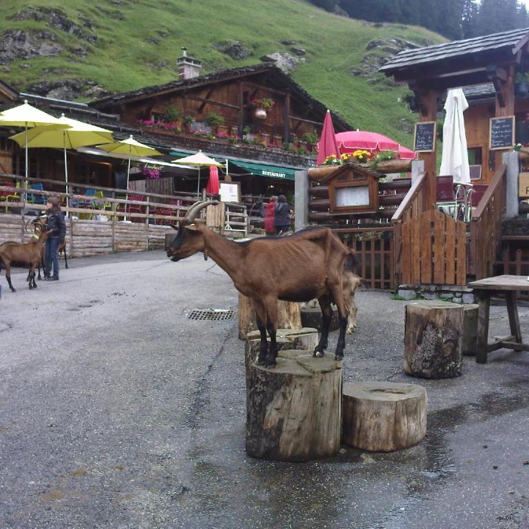 Avoriaz cocooning - Appartement 2 Chambres - 42