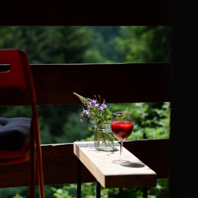 Cabin & Apartment Kopaonik - Studio with Mountain View - 33