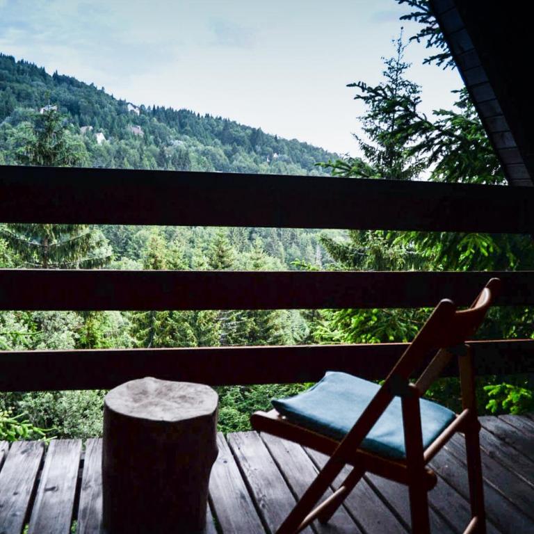 Cabin & Apartment Kopaonik - Vacation Home - 33