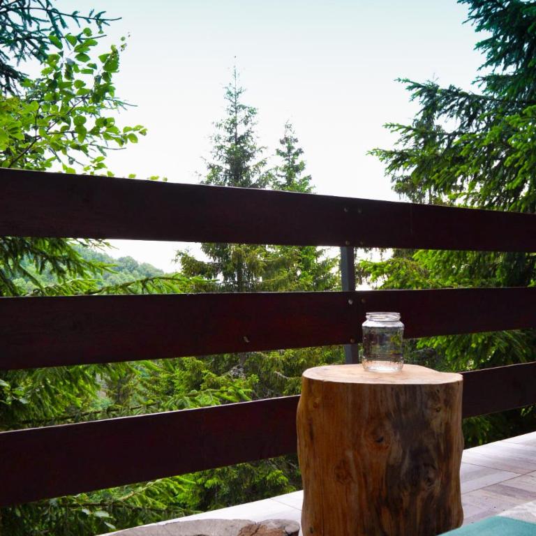 Cabin & Apartment Kopaonik - Vacation Home - 44