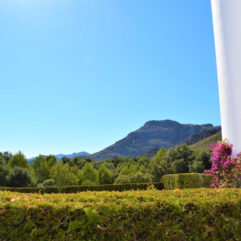 Ground Floor with private garden Bellresguard - Apartamento con vistas al jardín - 23