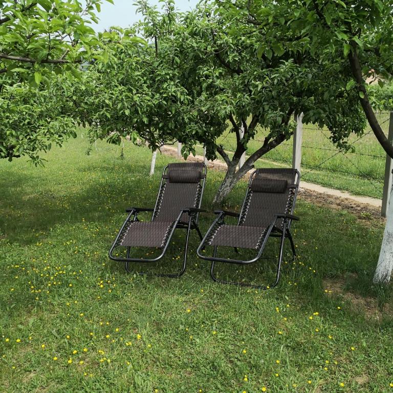 Holiday Home Dragon - Kuća sa 1 Spavaćom Sobom - 53