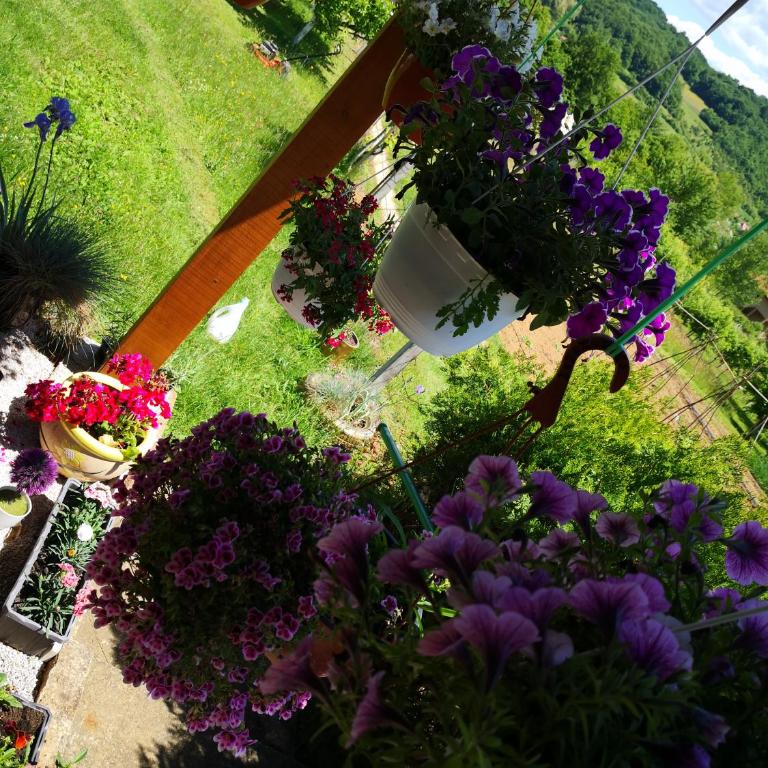 Holiday Home Dragon - Kuća sa 1 Spavaćom Sobom - 31