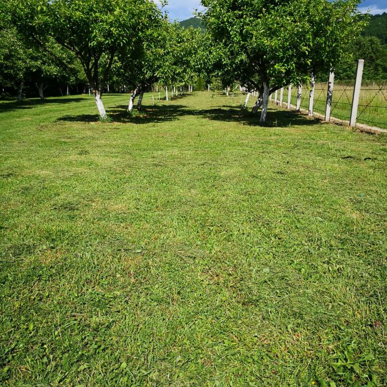 Holiday Home Dragon - Kuća sa 1 Spavaćom Sobom - 33