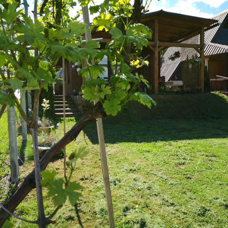 Holiday Home Dragon - Kuća sa 1 Spavaćom Sobom - 35