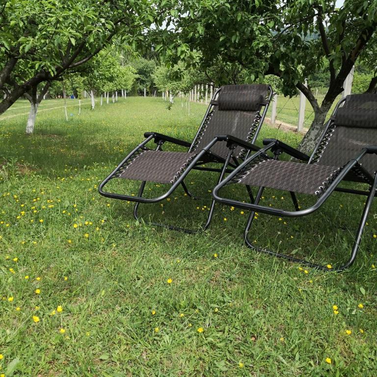 Holiday Home Dragon - Kuća sa 1 Spavaćom Sobom - 19