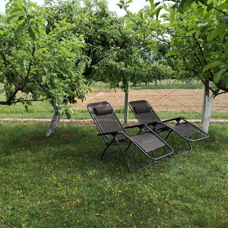 Holiday Home Dragon - Kuća sa 1 Spavaćom Sobom - 20