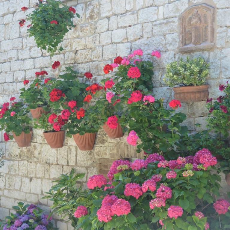 Casa Gentile - Appartamento con 2 Camere da Letto - 23