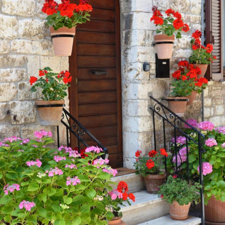 Casa Gentile - Appartamento con 2 Camere da Letto - 1