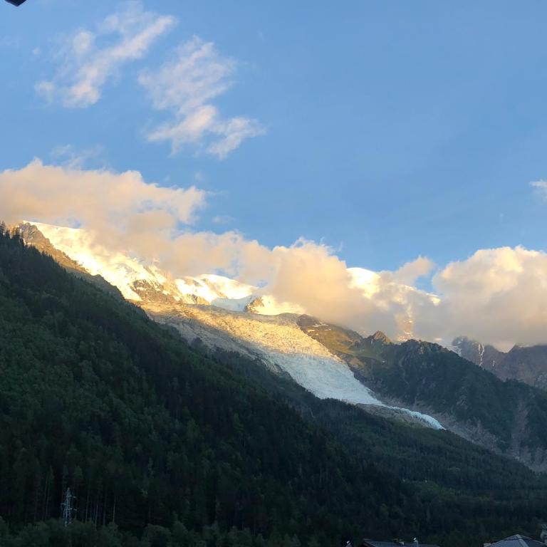 Mont Blanc 43, vue Mont Blanc , balcon, parking - Appartement 1 Chambre - 49