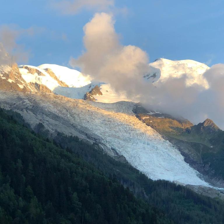 Mont Blanc 43, vue Mont Blanc , balcon, parking - Appartement 1 Chambre - 43