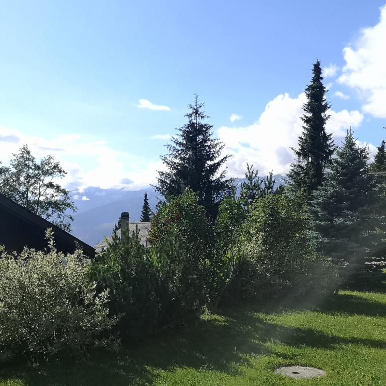 Moosalpe B Bürchen - Appartement avec Vue sur la Montagne - 18