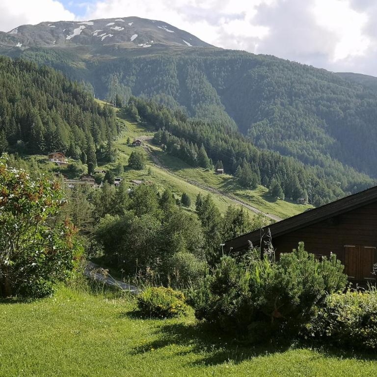 Moosalpe B Bürchen - Appartement avec Vue sur la Montagne - 16