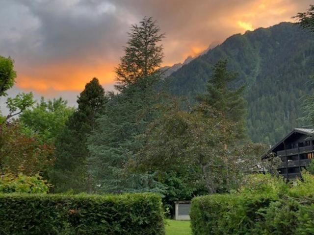 Studio au calme avec jardin et vue Mont-Blanc - Apartamento con vistas a las montañas - 17