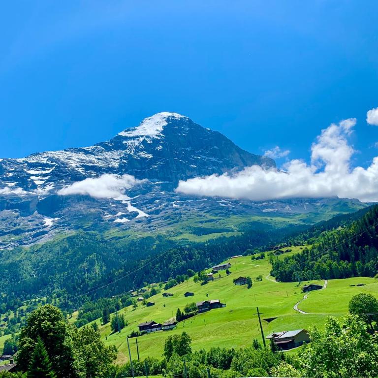 Mönch Amazing Apartment Grindelwald - Apartment mit 2 Schlafzimmern - 1
