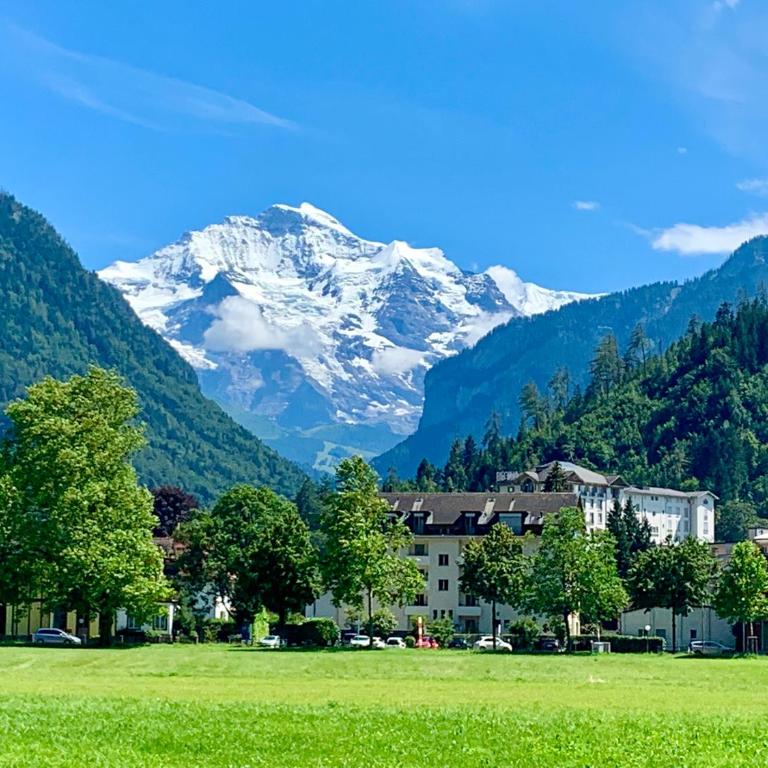 Mönch Amazing Apartment Grindelwald - Apartment mit 2 Schlafzimmern - 11
