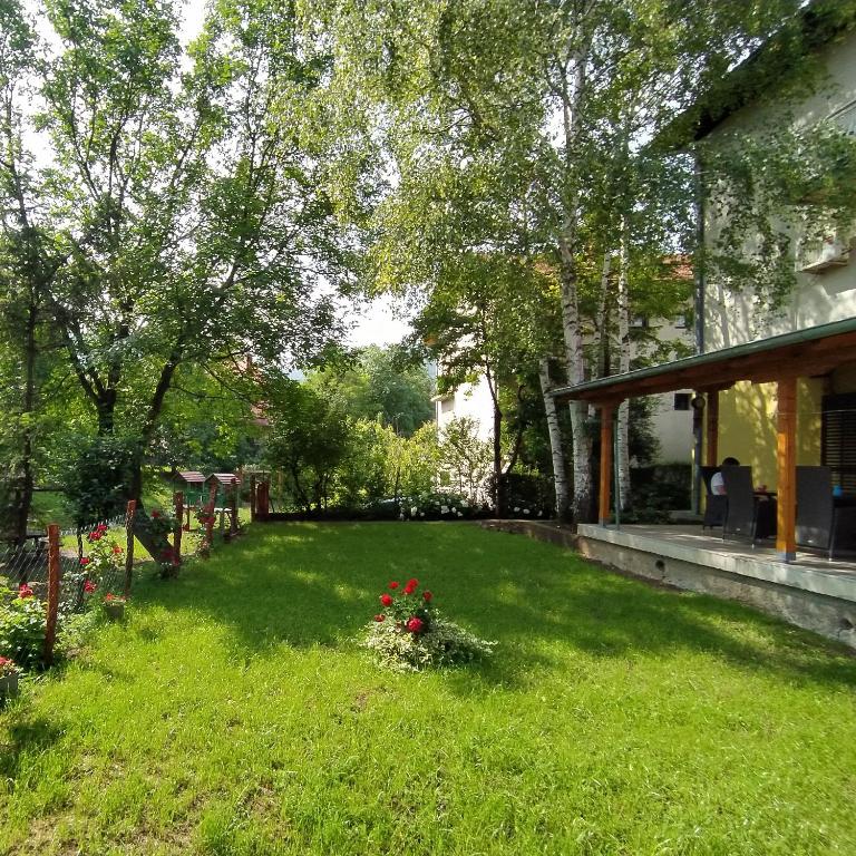 Apartmani Smiljanic Sokobanja - Apartment with Terrace - 1