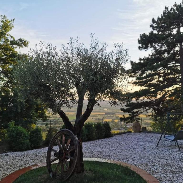 Casina Dei Sogni - Villa con Piscina Privata - 31