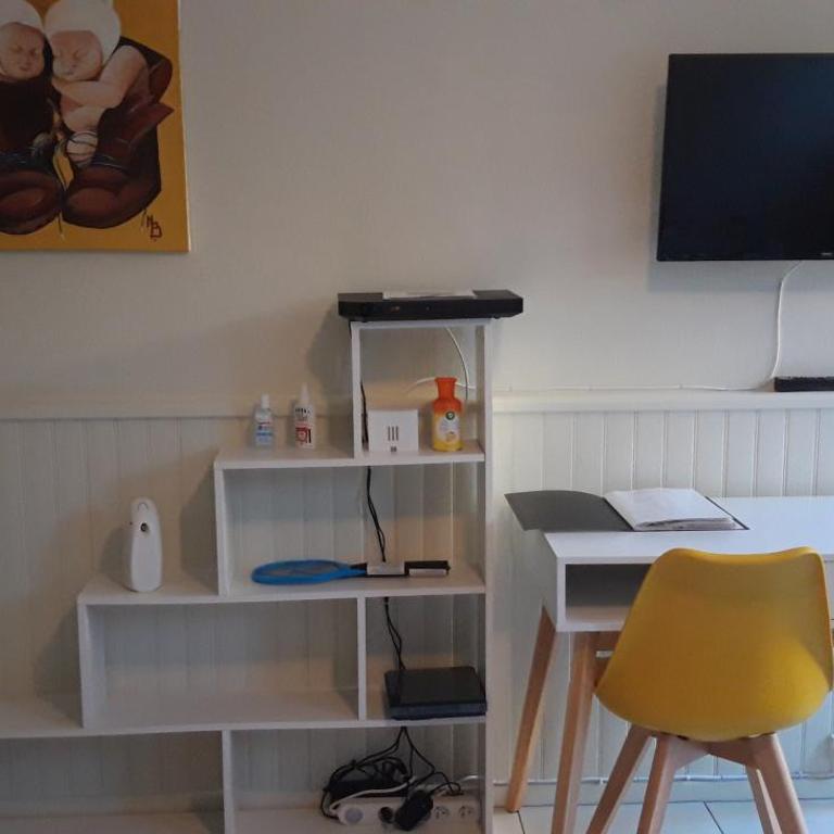 studio au frais avec terrasse et jardinet en centre ville - Studio-Apartment - 4