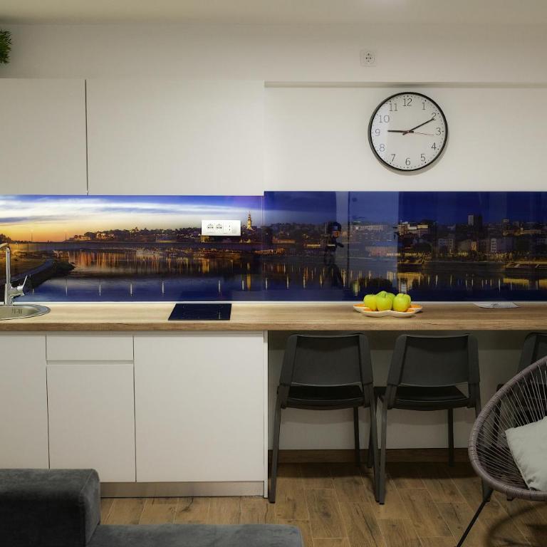 St.Sava apartment - Apartman sa 2 Spavaće Sobe - 5