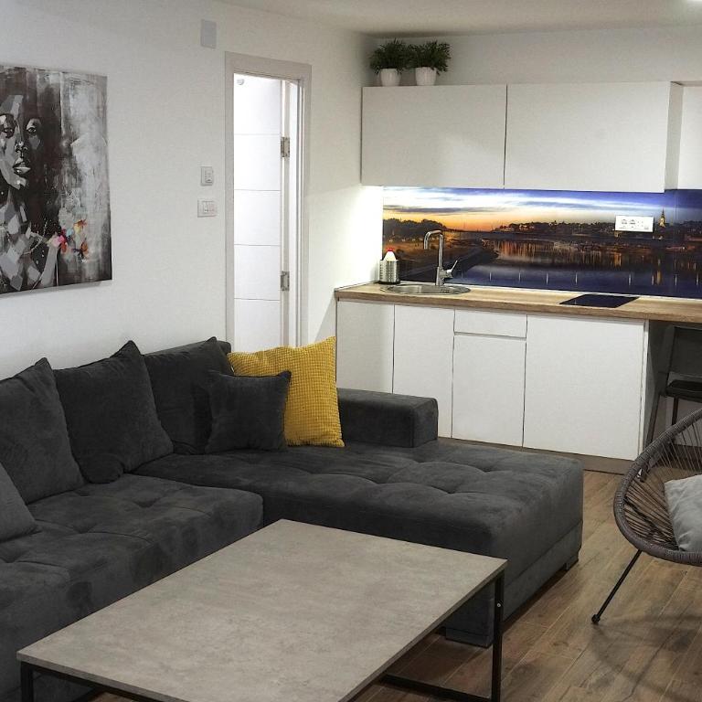 St.Sava apartment - Apartman sa 2 Spavaće Sobe - 4