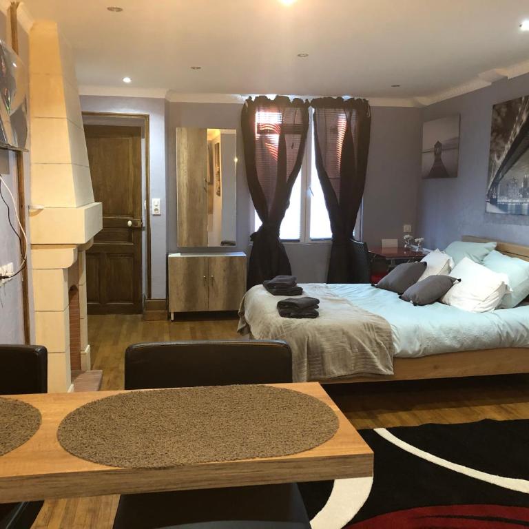 Studio Chaleureux Blois Centre - Appartement 1 Chambre - 1