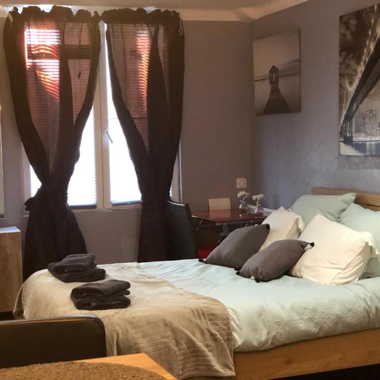 Studio Chaleureux Blois Centre - Appartement 1 Chambre - 8