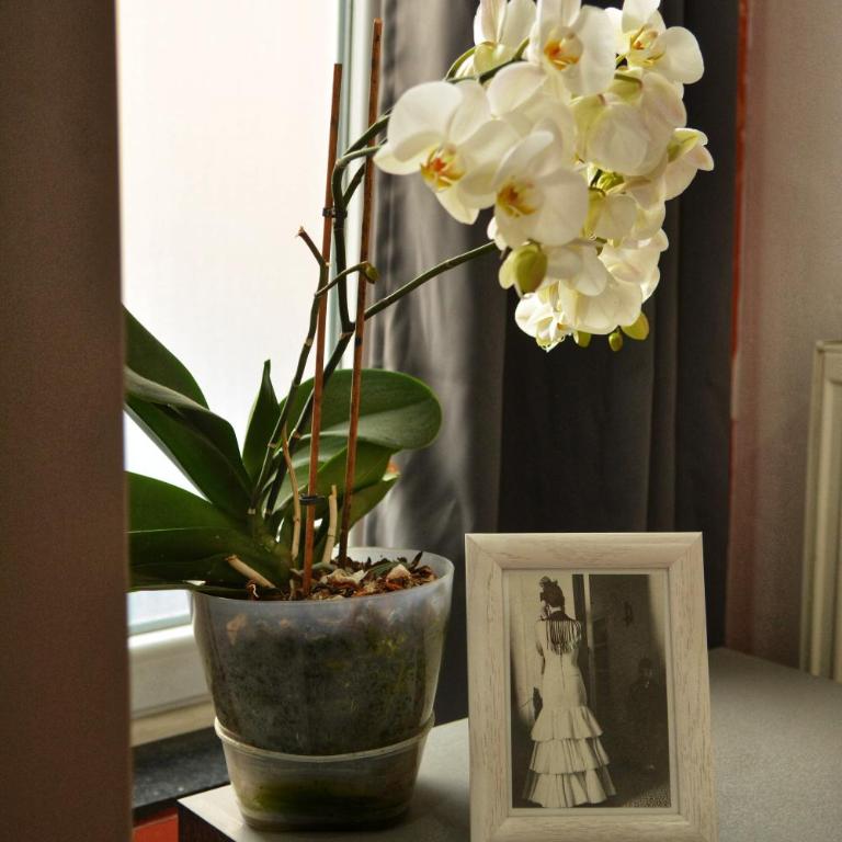 White Arrow Apartment - Apartman sa 2 Spavaće Sobe - 56