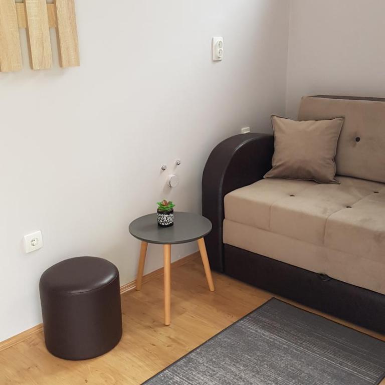 Apartmani V&F - Apartman sa Terasom - 20
