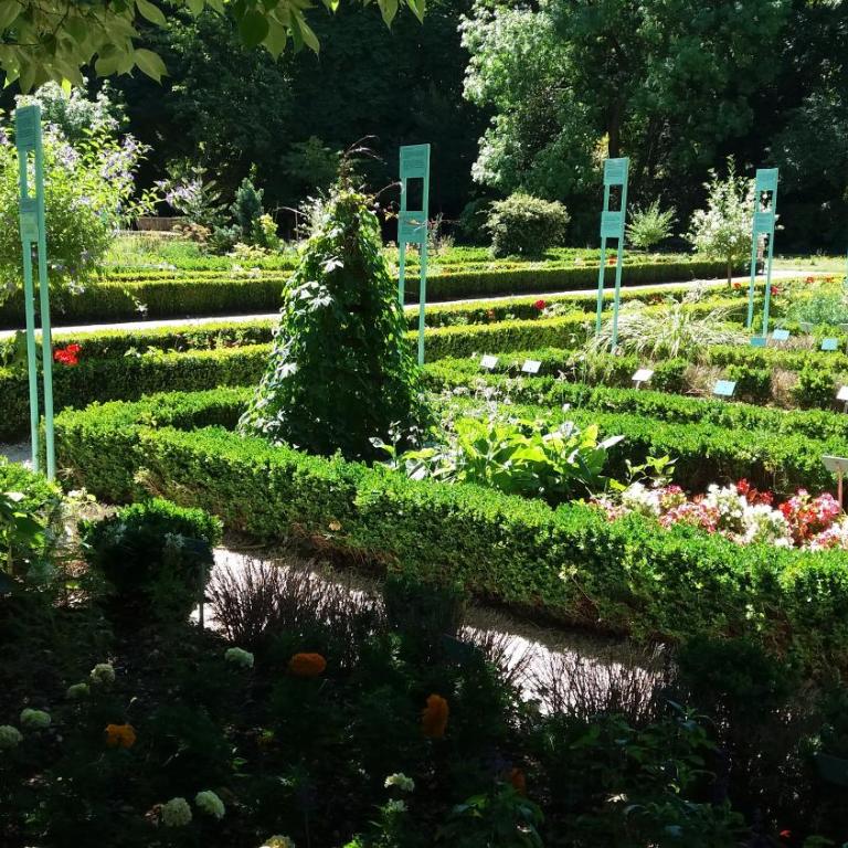 Meublé de tourisme 2* les Jardins de l Arquebuse - Appartement 1 Chambre - 18