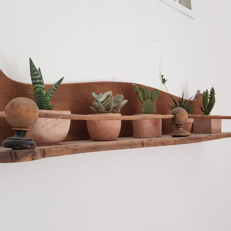Vesuvio Apartment - Appartamento - 70