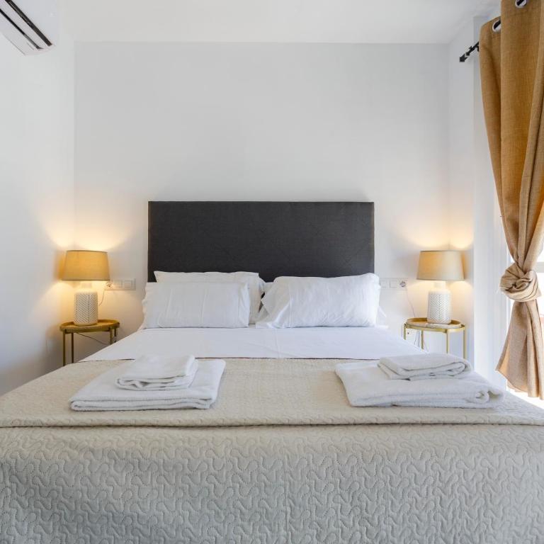 Atico de los FRANCESES by Cadiz4Rentals - Apartamento Ático - 43