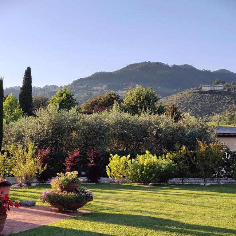 Tuscan Villa exclusive use of private pool A/C Wifi Villa Briciola - Villa con 3 Camere da Letto e Piscina Privata - 5