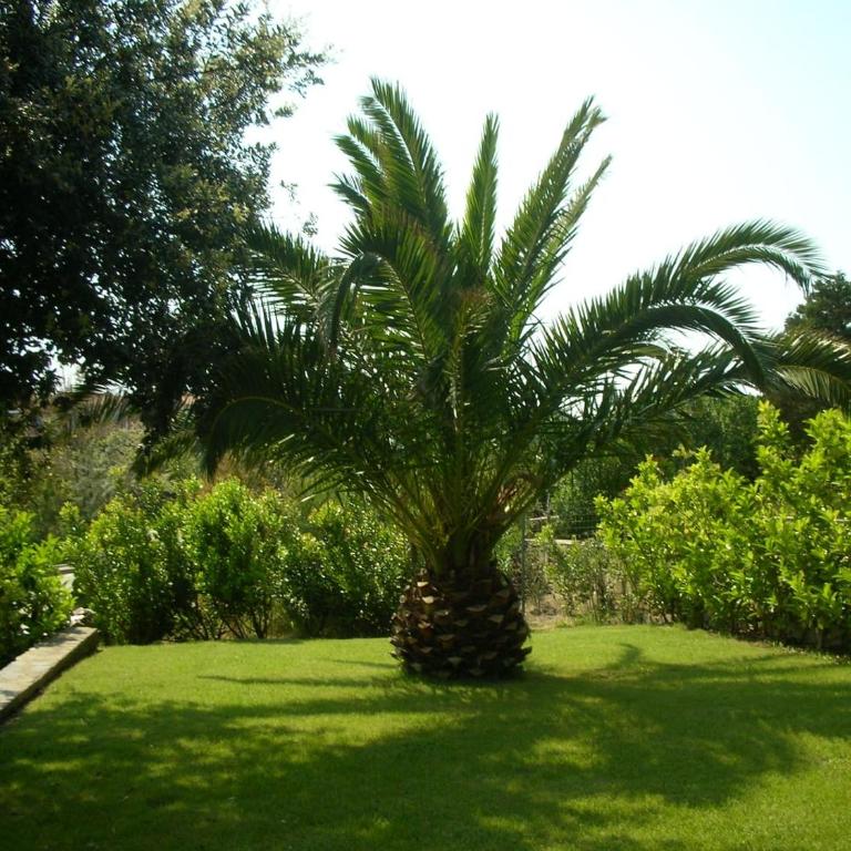 Appartamento Sole e Mare - Casa con 2 Camere da Letto - 3