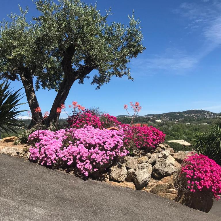 3 Bedrooms Villa near Cannes - Pool & Jacuzzi - Sea View - Villa 3 Chambres (6 Adultes) - 39