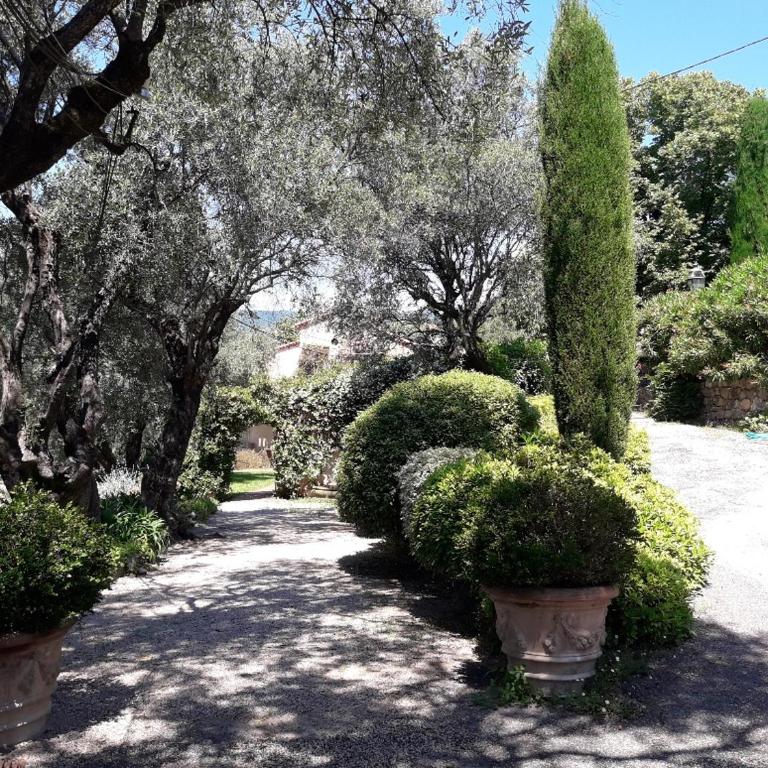 Apartment Picasso in large park with heated pool - Appartement - 30