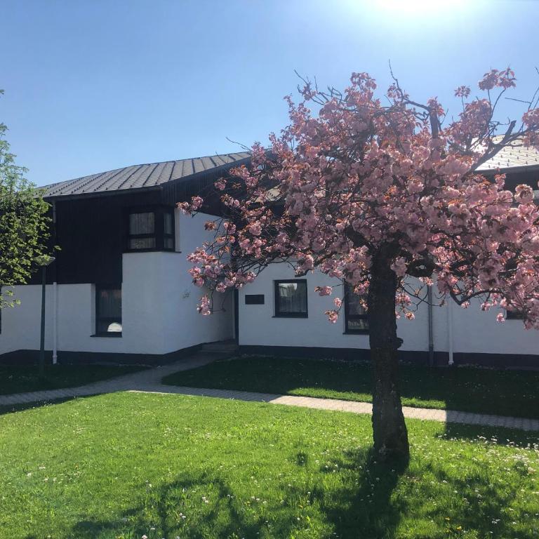 Apartment BERGliebe - schnuckelig, ruhige und zentrale Lage - Apartment mit 1 Schlafzimmer - 7