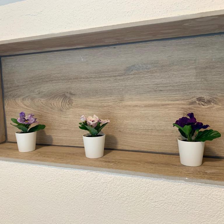 Eiger, Jungfrau, luxury garden apartment - Apartment mit 3 Schlafzimmern - 2
