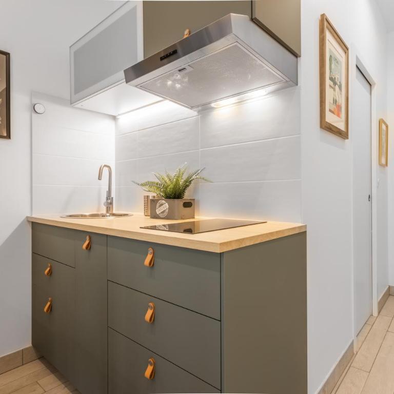 HOME SWEET VAISE - Appartement 1 Chambre - 4