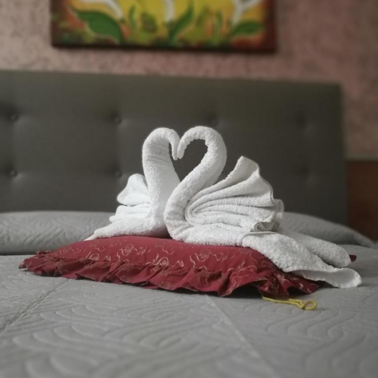 Bed&Belvedere - Camera Matrimoniale/Doppia con Letti Singoli con Vista Mare - 1