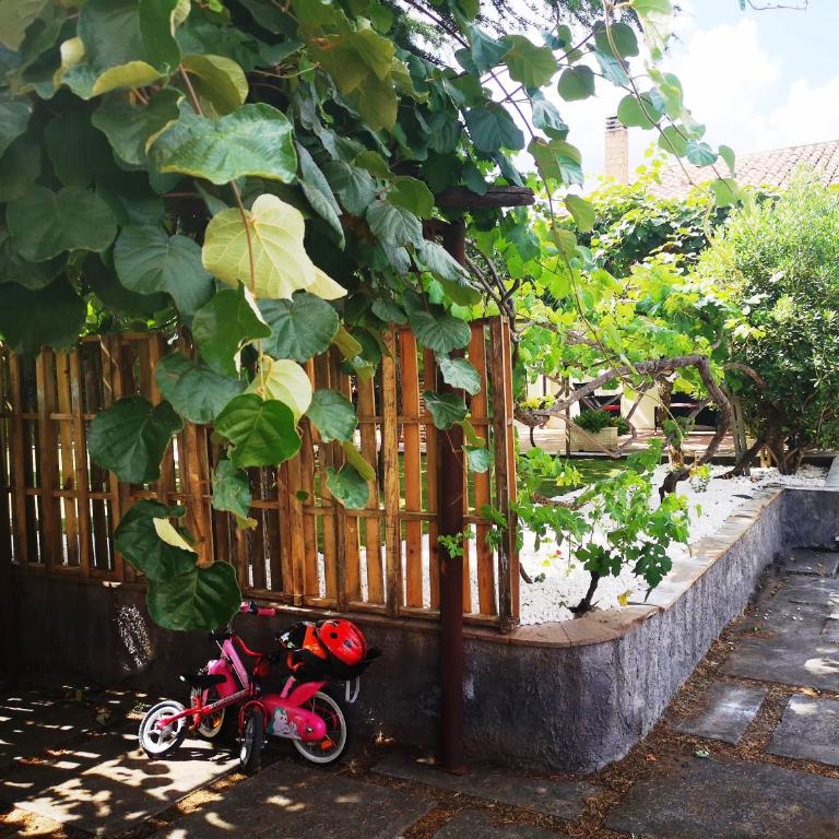 CASALE "GAIA"- Relax nel VERDE con Piscina Privata Esclusiva - Casa Vacanze - 20