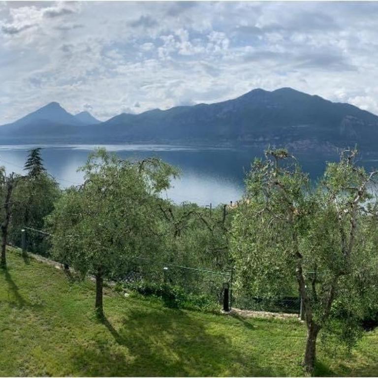 Agricampeggio Paradiso - Piazzola Grande - 1