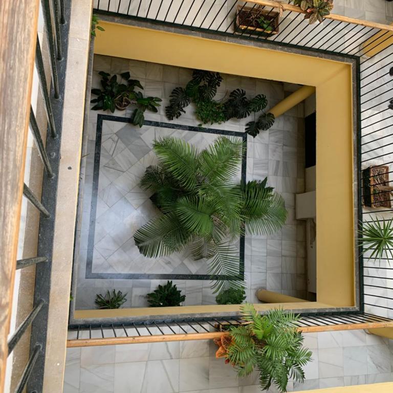 Sibilina House centro Jerez - Apartamento de 3 dormitorios - 22