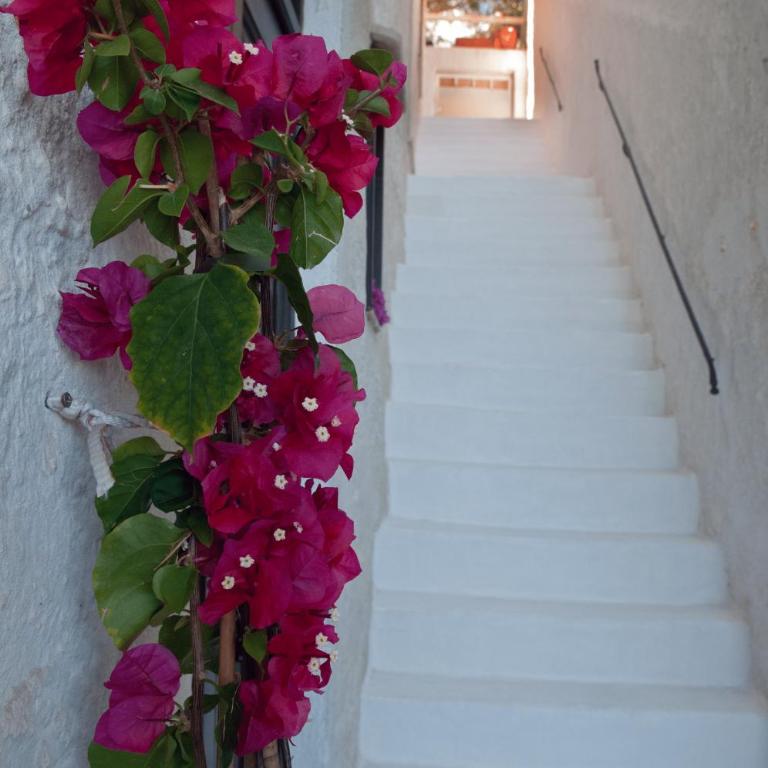 Cefalù Caldura house - Appartamento con 2 Camere da Letto - 13
